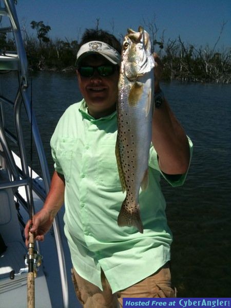 Gator Sea Trout