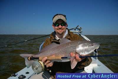 Redfish on fly