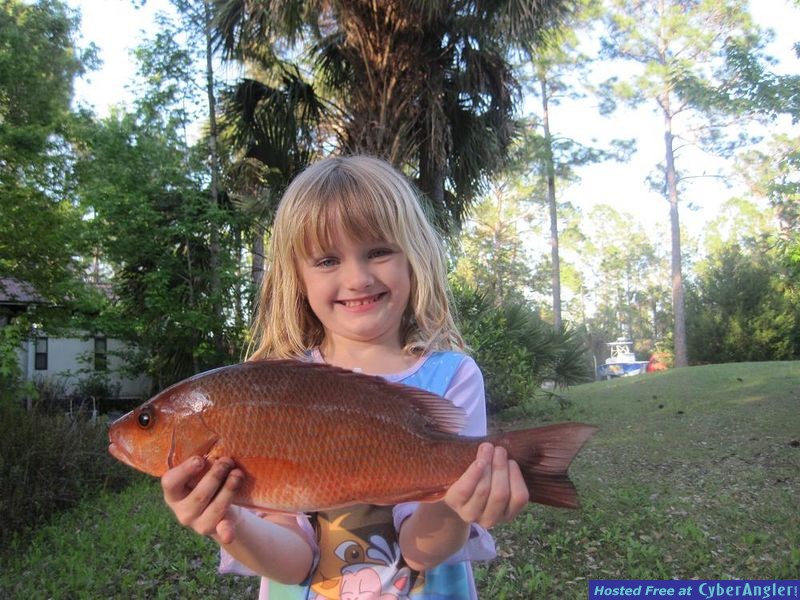 Hayley's Mangrove Snapper