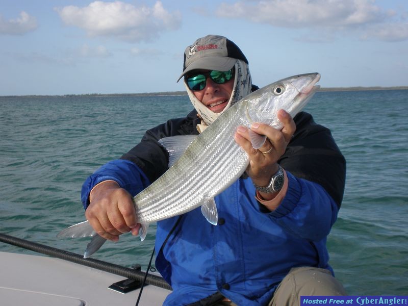 Green Turtle Cay
