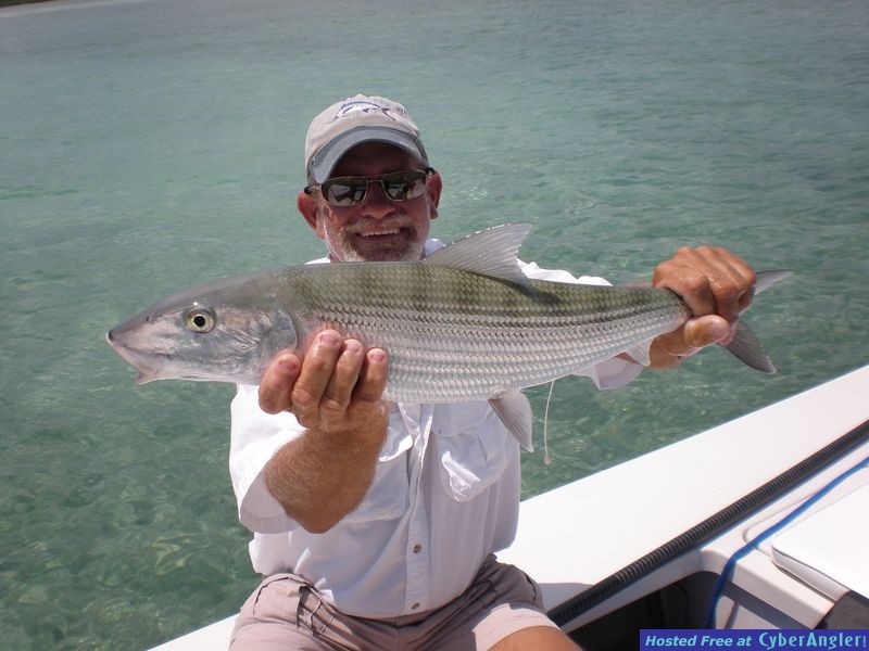 Green Turtle Cay
