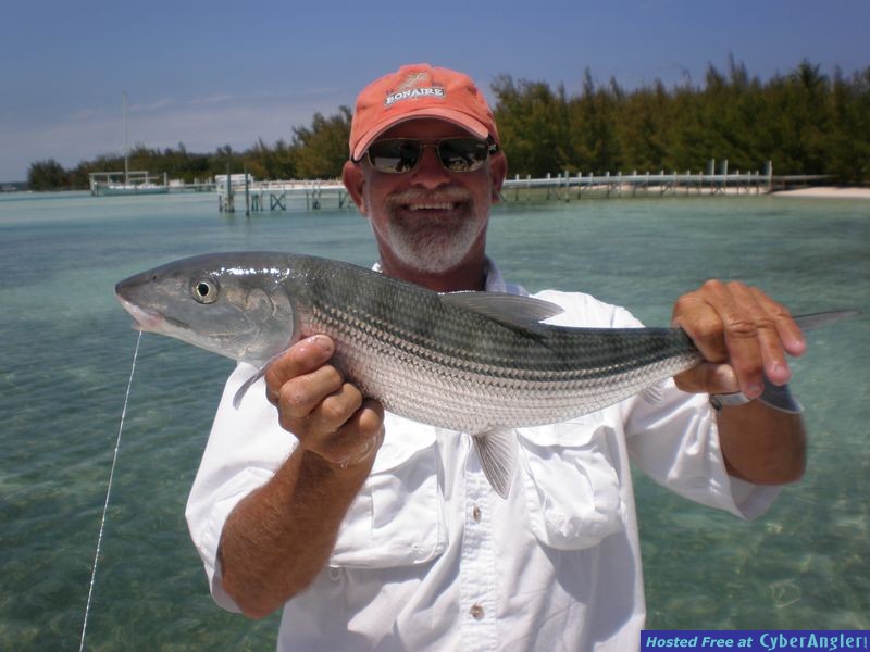 Green Turtle Cay