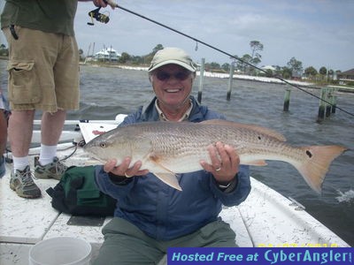 Click to Enlarge Photo