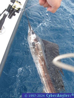 Click to Enlarge Photo