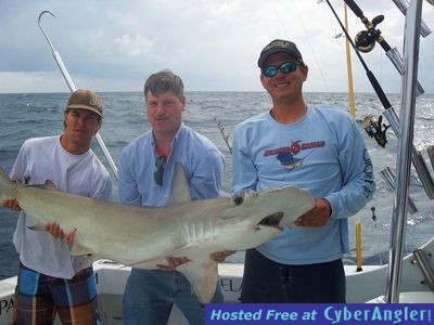 Click to Enlarge Photo