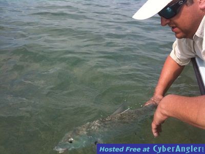 Big bonefish