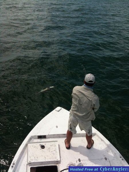 PCB Beach Fishing.