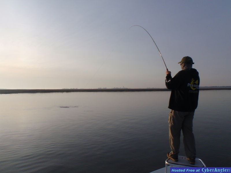 FinAddict Charters
