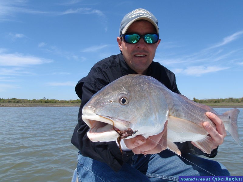 FinAddict Charters