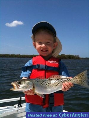 Tampa Bay Trout