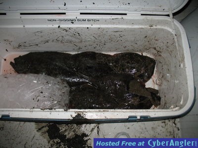 Click to Enlarge Photo