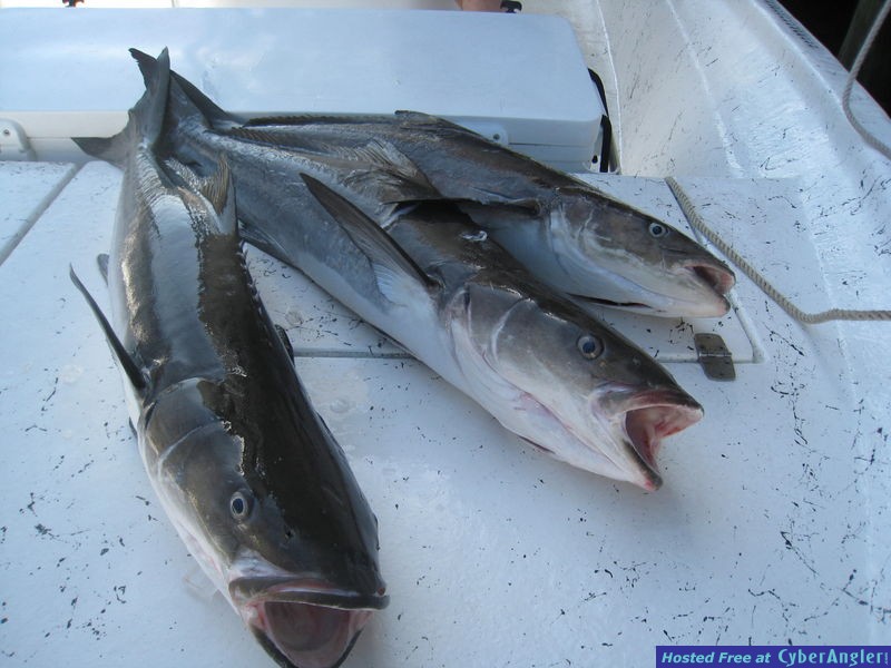 Panama City Beach Fishing.
