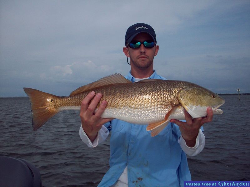 Backwater Redfsih
