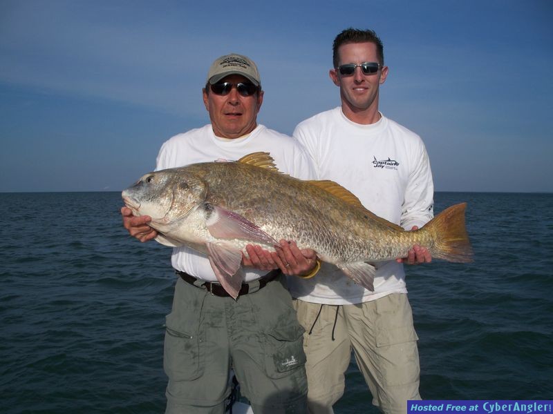 Tampa Bay Monster Black Drum