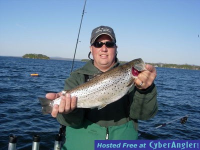 Lake Champlain Brown Trout