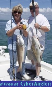 Click to Enlarge Photo