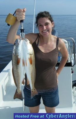 Click to Enlarge Photo