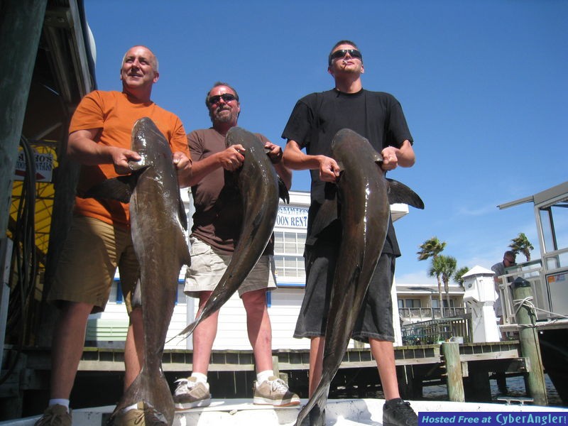 Crushing Panama City Beach Cobia.
