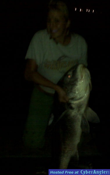 black drum
