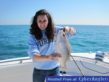 18-inch mangrove snapper