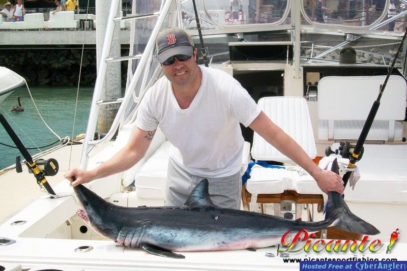 Click to Enlarge Photo