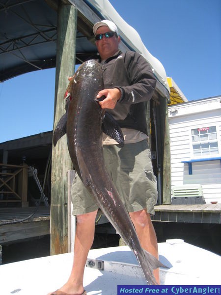 Panama City Beach Cobia.