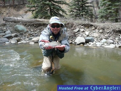 Click to Enlarge Photo