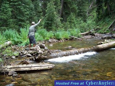 Click to Enlarge Photo