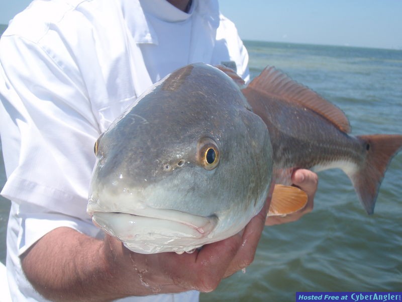 redsnook_025