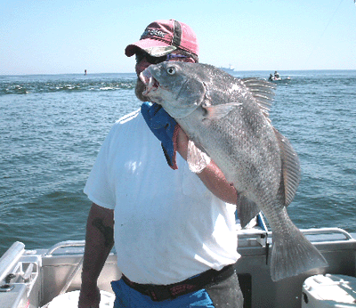 Jacksonville fishing