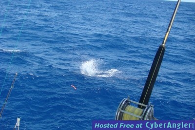 Click to Enlarge Photo