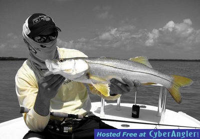 Click to Enlarge Photo