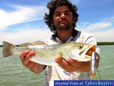 Click to Enlarge Photo