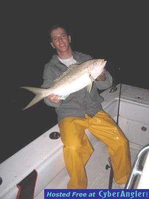 tail