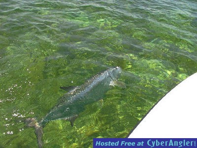 Click to Enlarge Photo