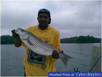 Click to Enlarge Photo