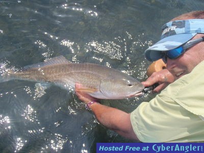 Click to Enlarge Photo