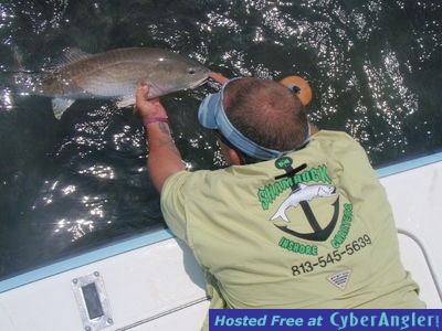 Click to Enlarge Photo