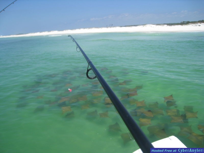 Panama City Beach Light Tackle