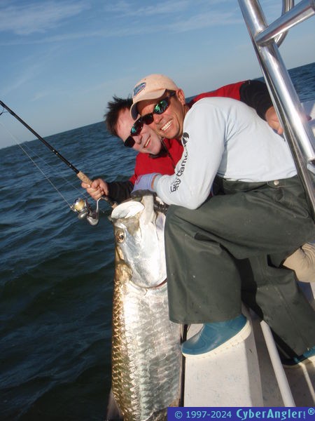 Tampa Bay Tarpon action!