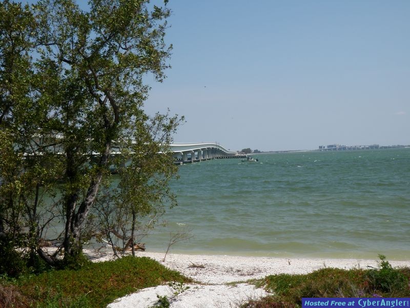 Sanibel's Silver Lining Snook