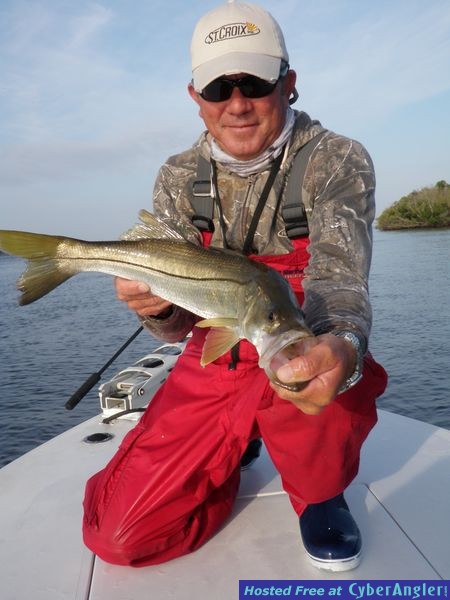 Sanibel's Silver Lining Snook