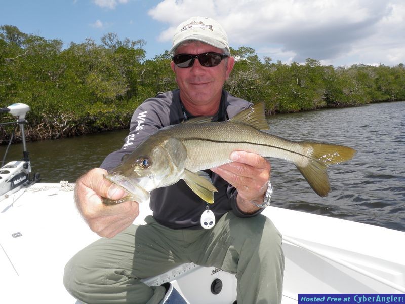 Sanibel's Silver Lining Snook