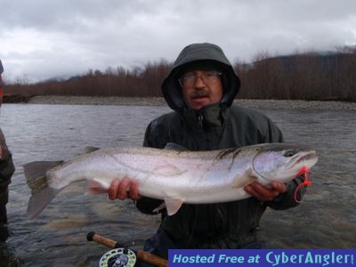 www.noelgyger.ca steelhead