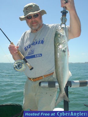 Randy Ruskey's Sarasota Bay fly bluefish