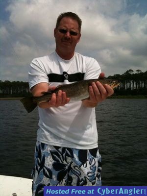 PCB Trout and Live Bait