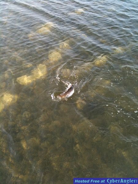 Panama City Beach Trout Fishing