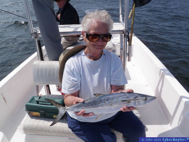 Click to Enlarge Photo