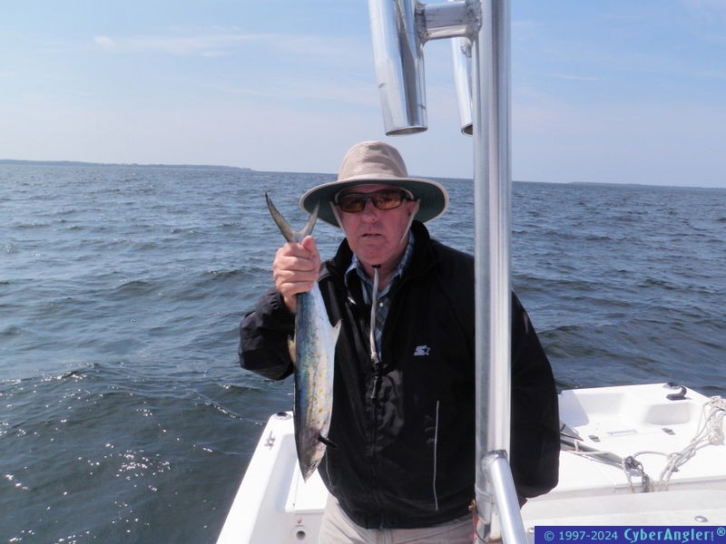 Click to Enlarge Photo