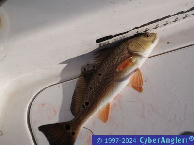 Click to Enlarge Photo